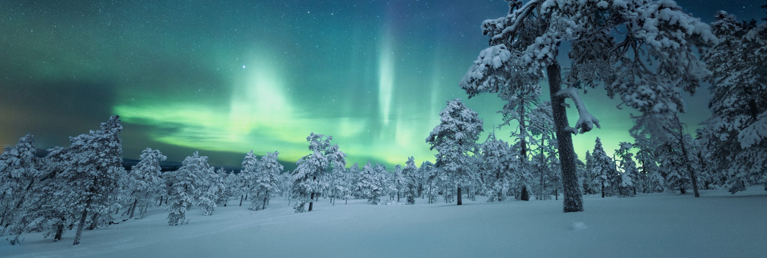 Fins lapland noorderlicht - De Planeet Reizen